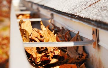 Erwood gutter cleaning companies