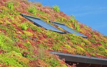 Erwood living roof systems