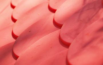 Erwood plastic roof costs