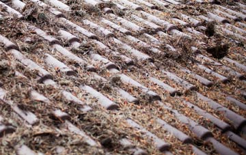 Erwood roof cleaning companies