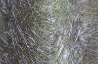 Erwood fibreglass roof work